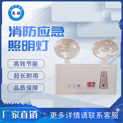 ZX-ZFZD-E5W-A04消防应急照明灯具