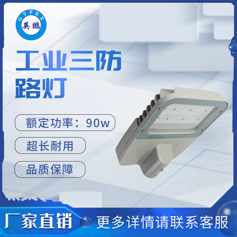 三防9650路灯90w 路灯