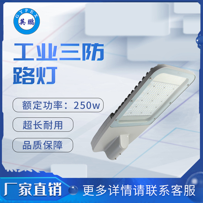 三防9650路灯250w 路灯_