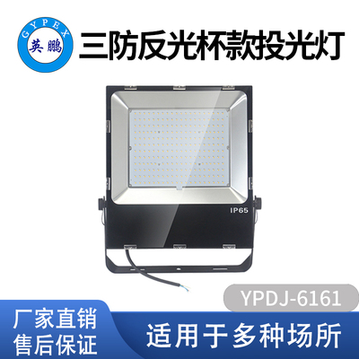 三防反光杯款投光灯