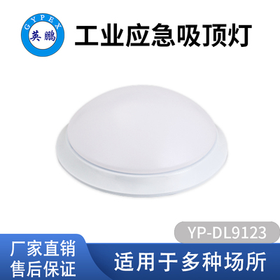 工业应急吸顶灯