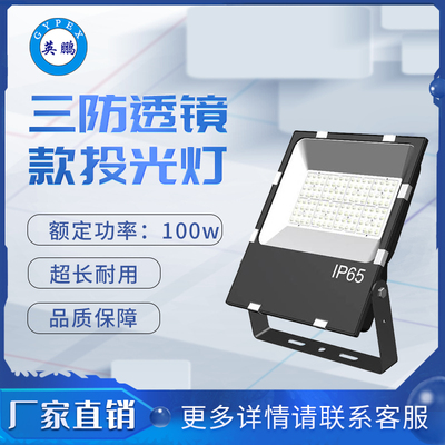 三防9126透镜2合一款100 投光灯