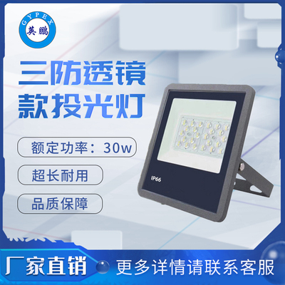 三防9127透镜款~30 投光灯