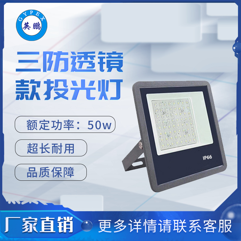 三防9127透镜款~50 投光灯