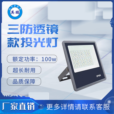 三防9127透镜款~100 投光灯