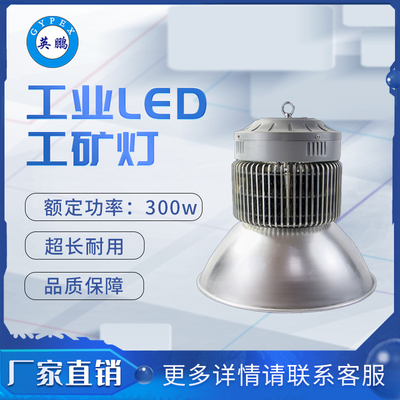 NGC9820~300 工矿灯