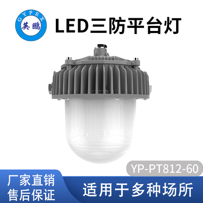 工矿户外平台灯