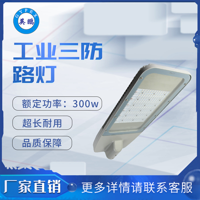 三防9650路灯300w 路灯_