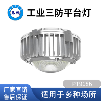 工业三防平台灯