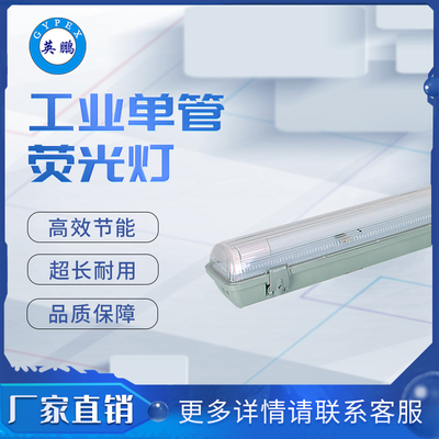 YG69单管荧光灯 （1_8w）