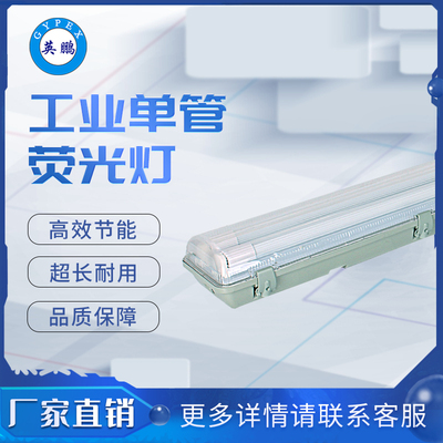 YG69双管荧光灯 （2_16w）_