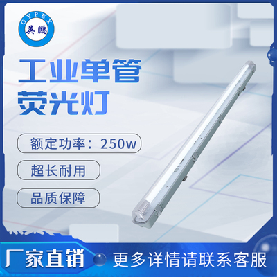 YG69单管荧光灯（1_16w）