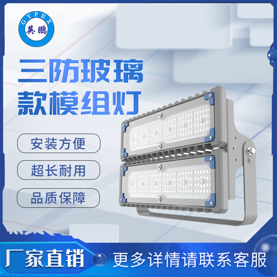 三防9792玻璃款大款2模组灯_