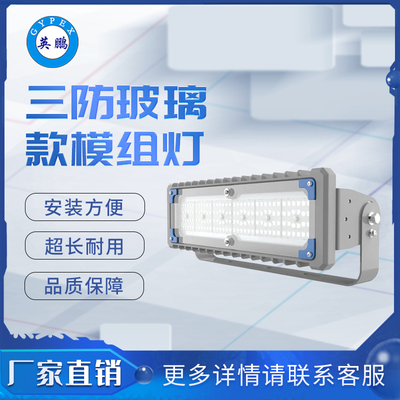 三防9792玻璃款大款1模组灯