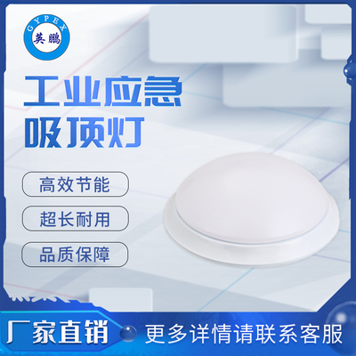 ZX-ZFZD-E5W2 消防应急照明灯具