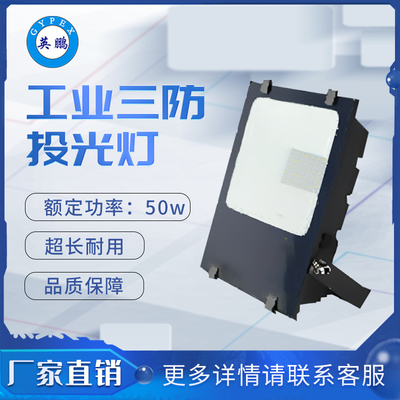 三防218~50 投光灯