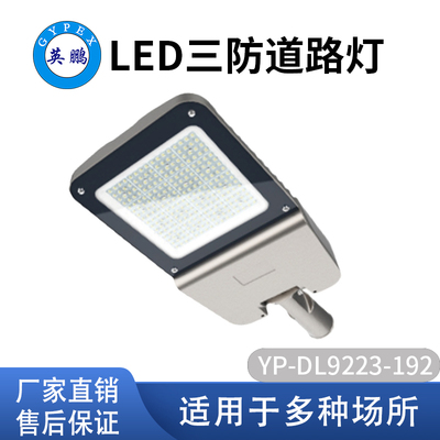 LED三防道路灯
