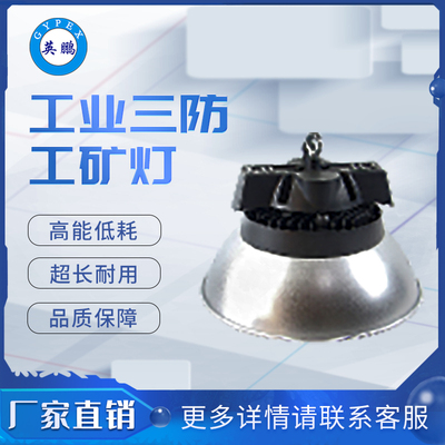 三防699A小款+灯罩 工矿灯