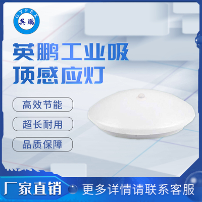 9136B吸感应顶灯